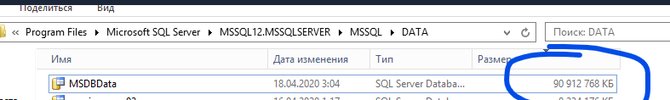 MSDBData очень большого размера (dbo.sysmaintplan_logdetail)