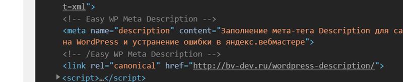 Description сайта после заполнения Easy WP Meta Description