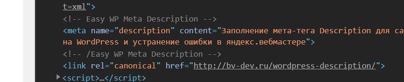Description сайта после заполнения Easy WP Meta Description