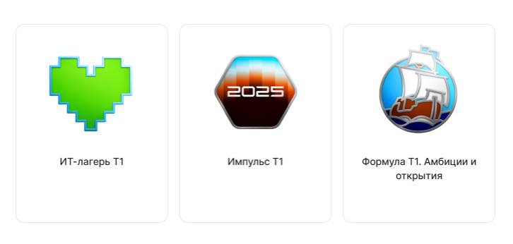 Достижения заработанные в ИТ Холдинге Т1