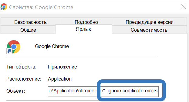 -ignore-certificate-errors