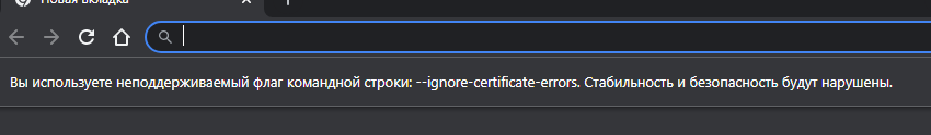 -ignore-certificate-errors